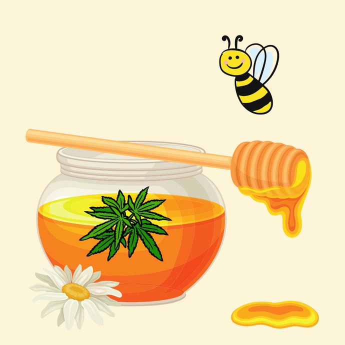 What is Cannabis Honey? | How to make Canna honey at home?